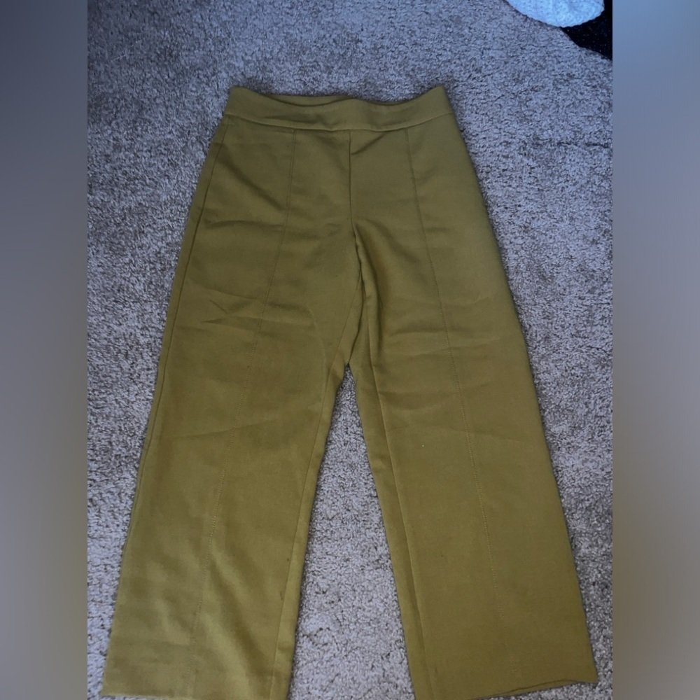 Ann Taylor Dress Pants